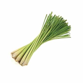 Cymbopogon flexuosos