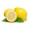 Citrus medica limonum