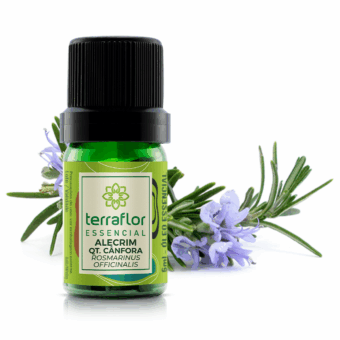 Frasco de óleo essencial Alecrim (Rosmarinus officinalis) qt. Cânfora Terra Flor