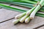 Conheça os efeitos do lemongrass