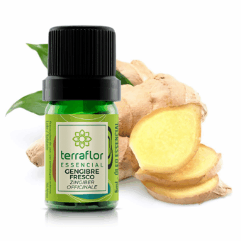 Óleo Essencial de Gengibre Fresco