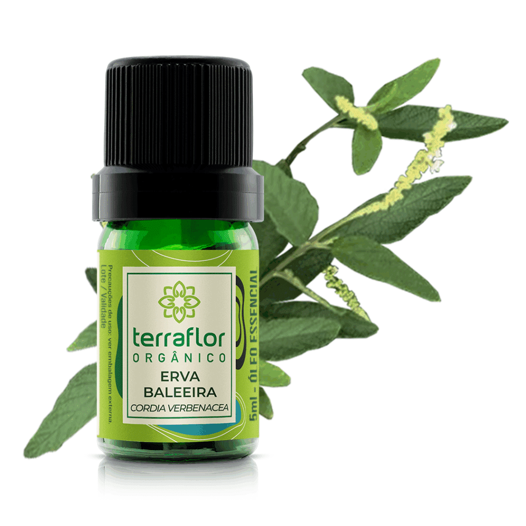 Frasco de óleo essencial Erva Baleeira (Cordia verbenacea) orgânico Terra Flor
