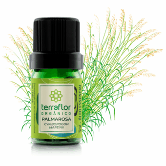 Mockup do frasco de óleo essencial Palmarosa (Cymbopogon martini) orgânico Terra Flor com imagem da planta
