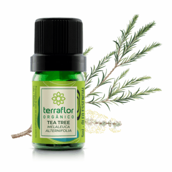 Mockup do frasco de óleo essencial Tea Tree (Melaleuca alternifolia) orgânico Terra Flor com imagem da planta