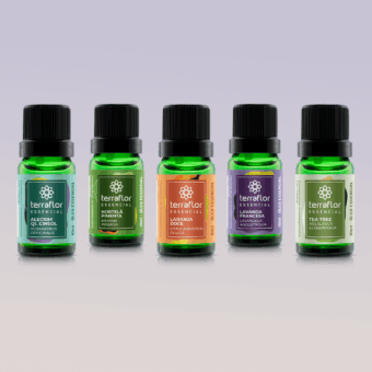 Embalagens dos 5 óleos essenciais do Kit Aromaterapia Top 5