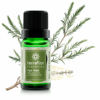 Frasco do óleo essencial de tea tree com folhas de tea tree ao fundo.