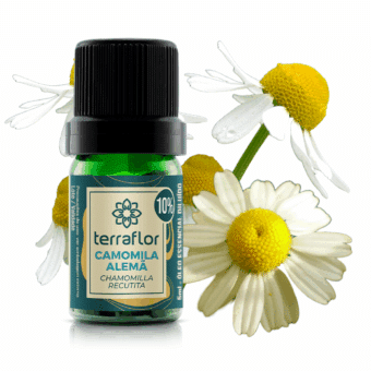 Frasco de óleo essencial Camomila Alemã (Chamomilla recutita) diluído a 10% Terra Flor