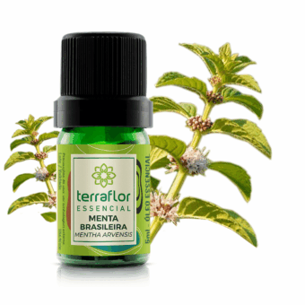 Frasco de óleo essencial Menta Brasileira (Mentha arvensis) Terra Flor