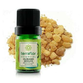 Óleo Essencial de Olíbano Serrata