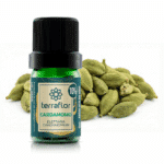 Cardamomo 5ml - Diluído a 10%