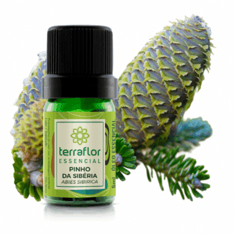 Frasco de óleo essencial Pinho da Sibéria (Abies sibirica) Terra Flor